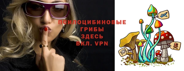 гидра Верхний Тагил