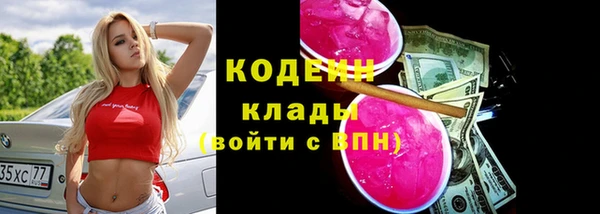 гидра Верхний Тагил