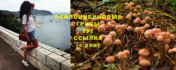 ALPHA PVP Верхнеуральск