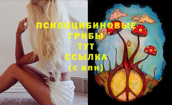 Альфа ПВП Бородино