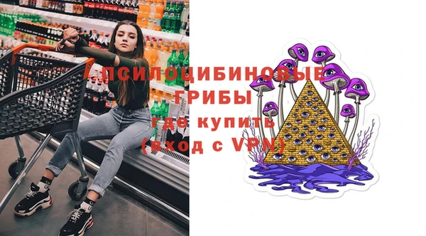 гидра Верхний Тагил