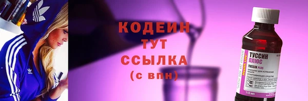 гидра Верхний Тагил