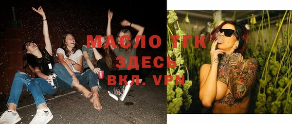 гидра Верхний Тагил