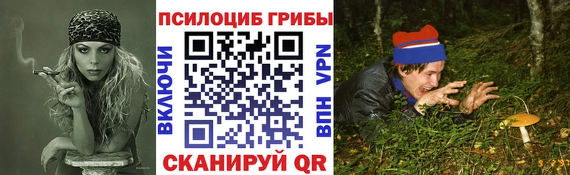 Псилоцибиновые грибы Cubensis  Ковылкино 